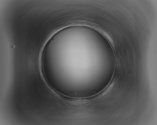 X0000103171533200808291500