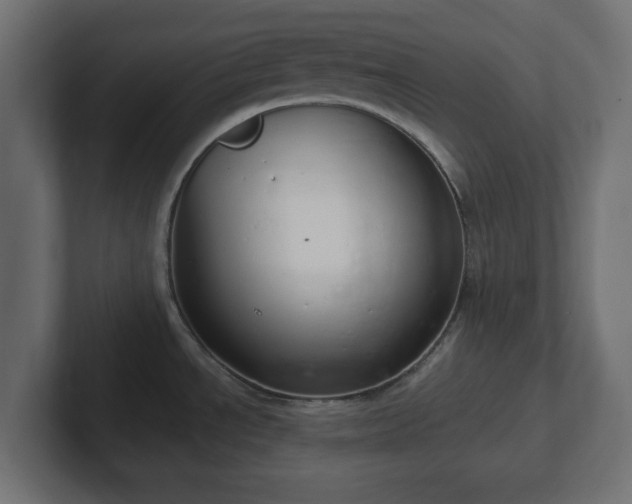 X0000103171534200808291500