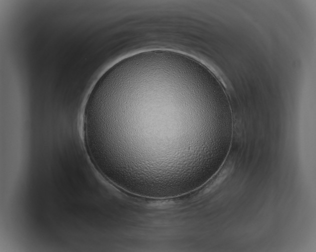 X0000103171535200808291500