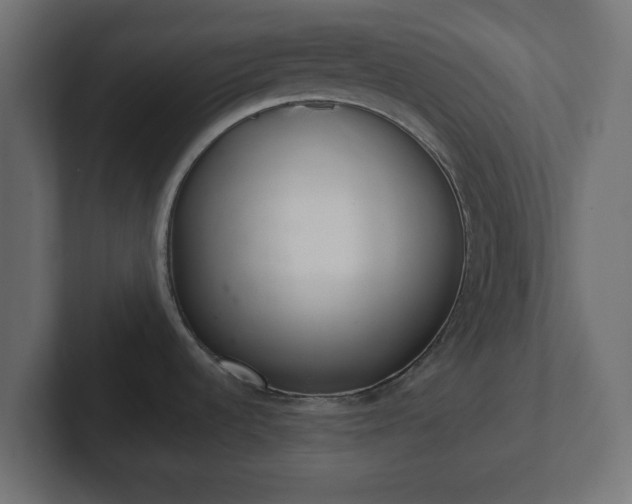 X0000103171536200808291500