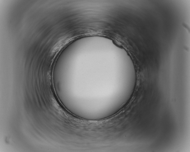 X0000103170002200809051732