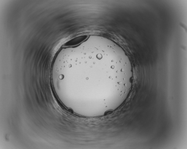 X0000103170003200809051732