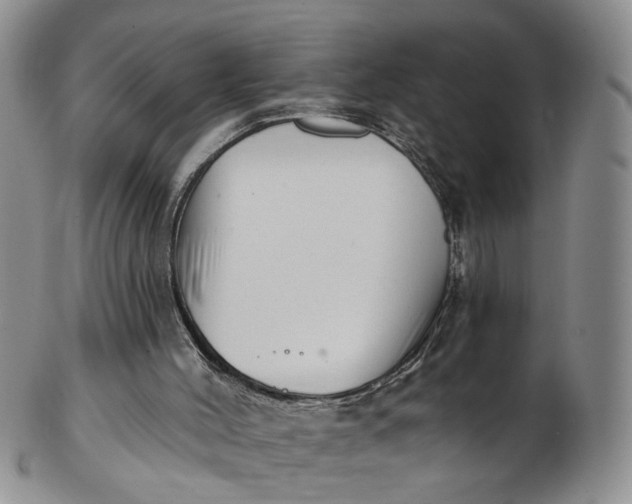 X0000103170004200809051732