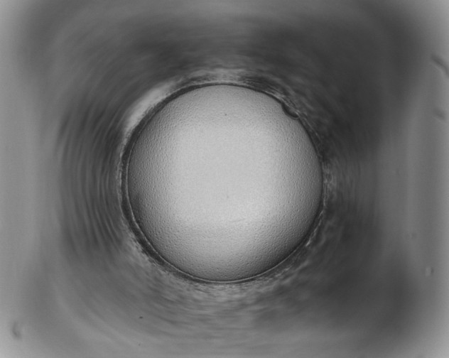 X0000103170006200809051732