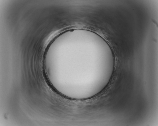 X0000103170007200809051732