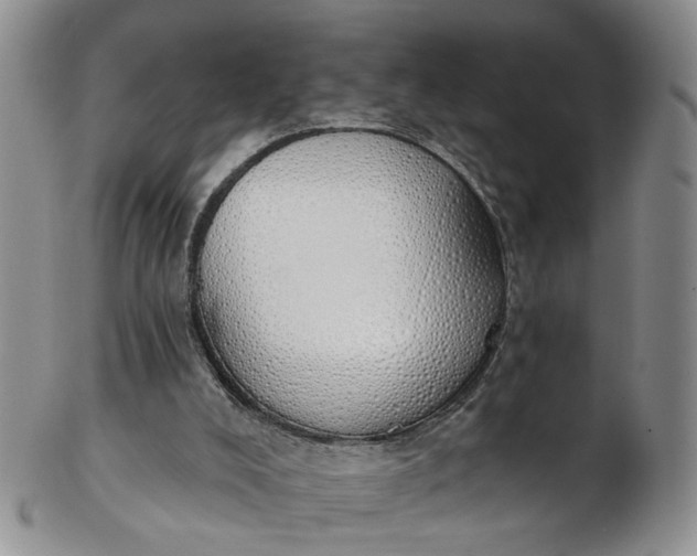 X0000103170008200809051732