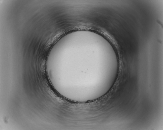 X0000103170009200809051732