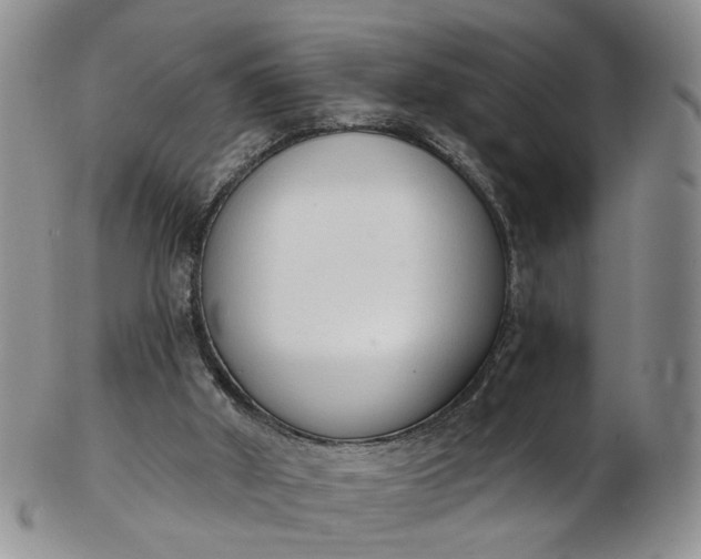 X0000103170010200809051732