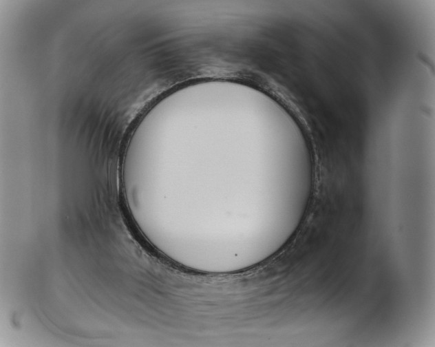 X0000103170011200809051732