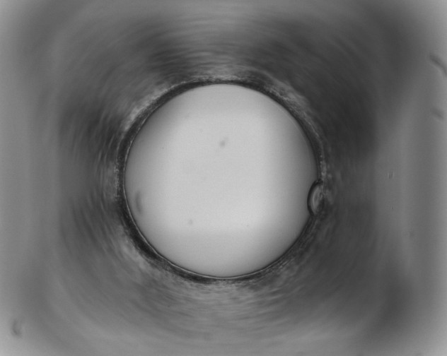 X0000103170012200809051732