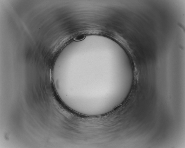 X0000103170013200809051732