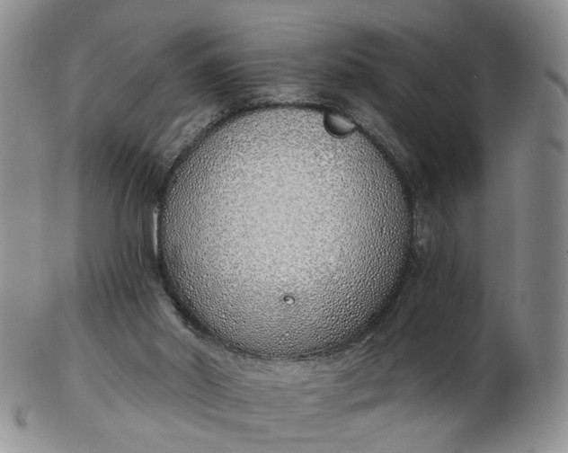 X0000103170014200809051732