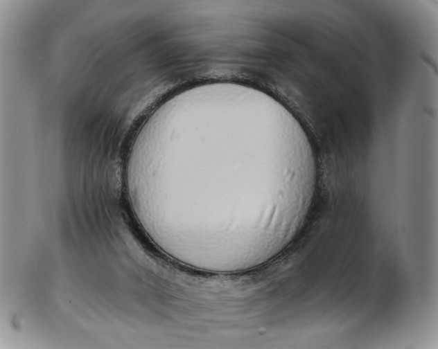 X0000103170016200809051732