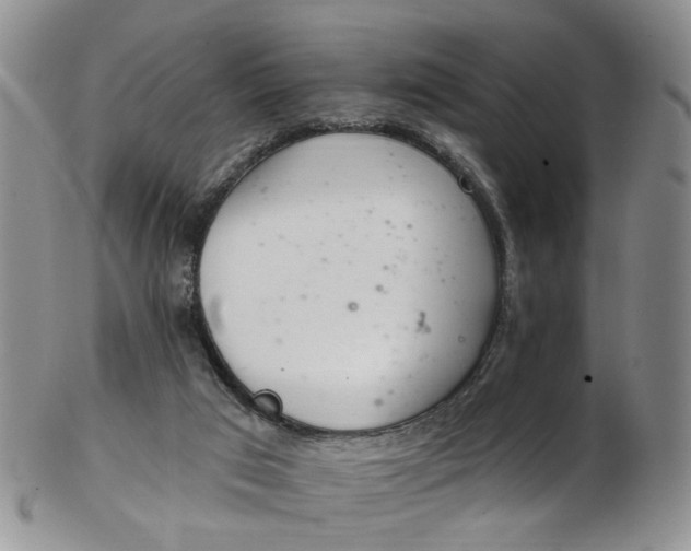 X0000103170017200809051732