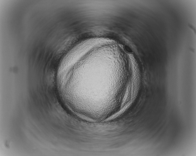 X0000103170018200809051732