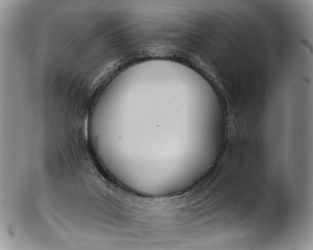 X0000103170019200809051732