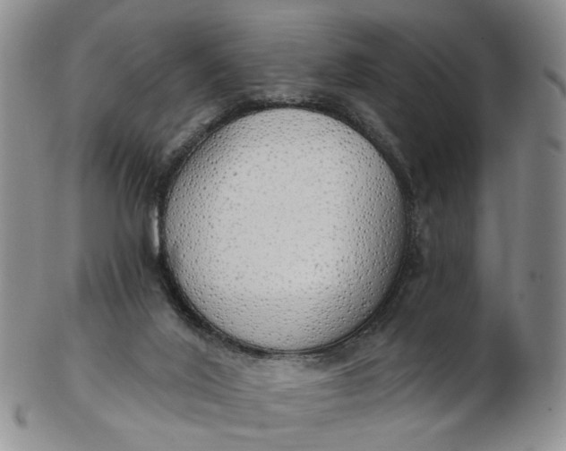 X0000103170020200809051732