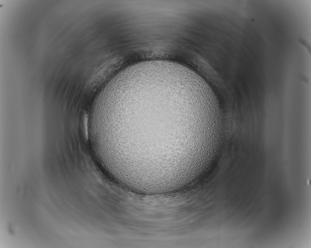 X0000103170022200809051732