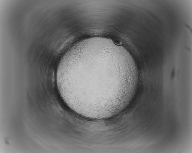 X0000103170024200809051732