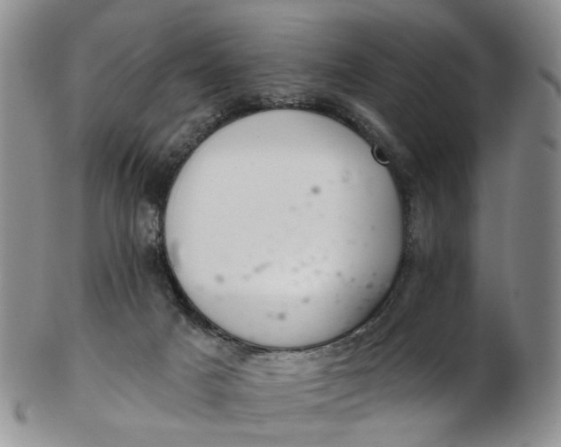 X0000103170025200809051732