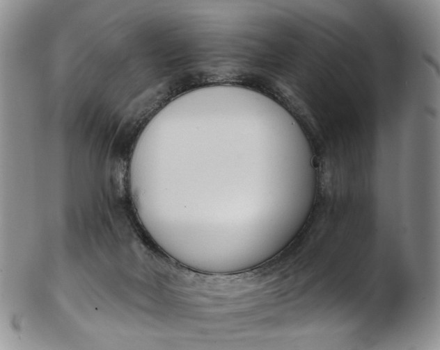 X0000103170026200809051732