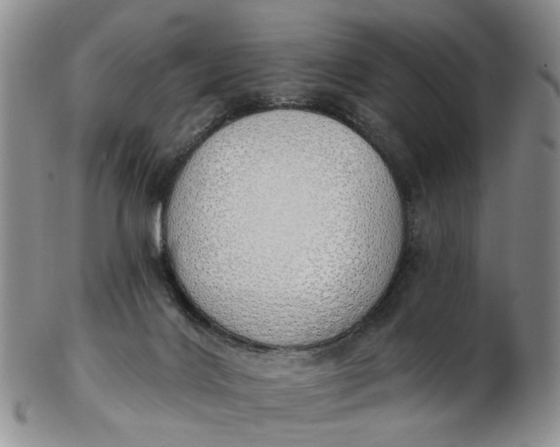 X0000103170028200809051732