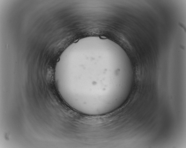 X0000103170029200809051732