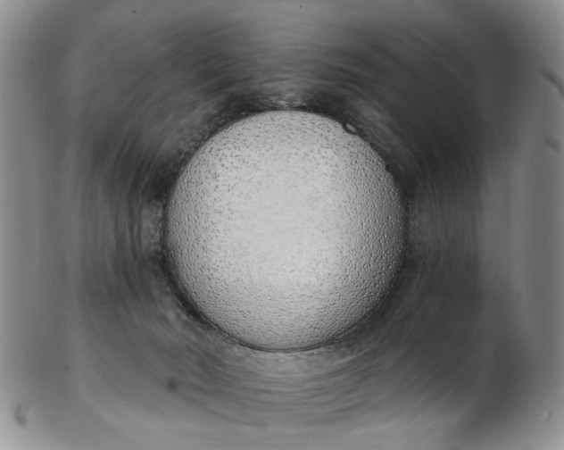 X0000103170030200809051732