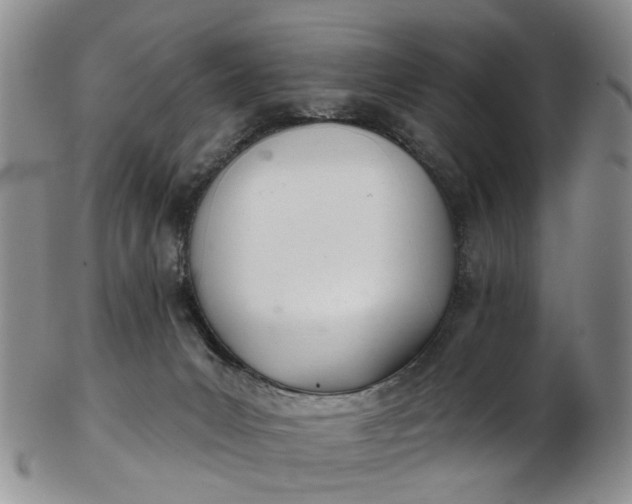 X0000103170031200809051732