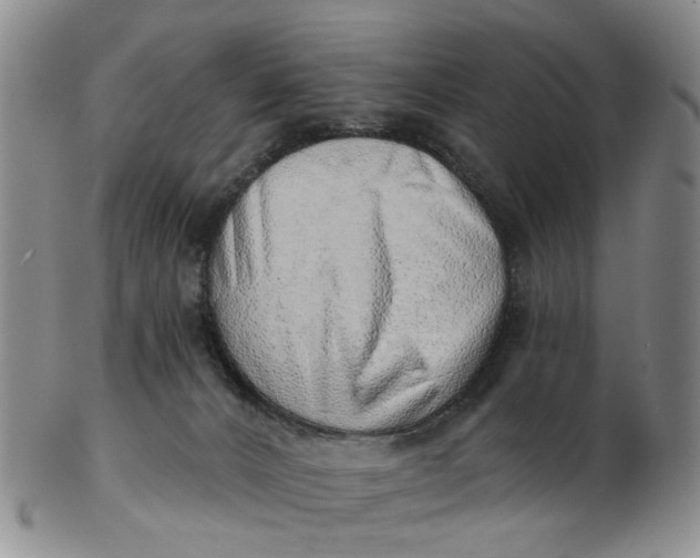 X0000103170032200809051732