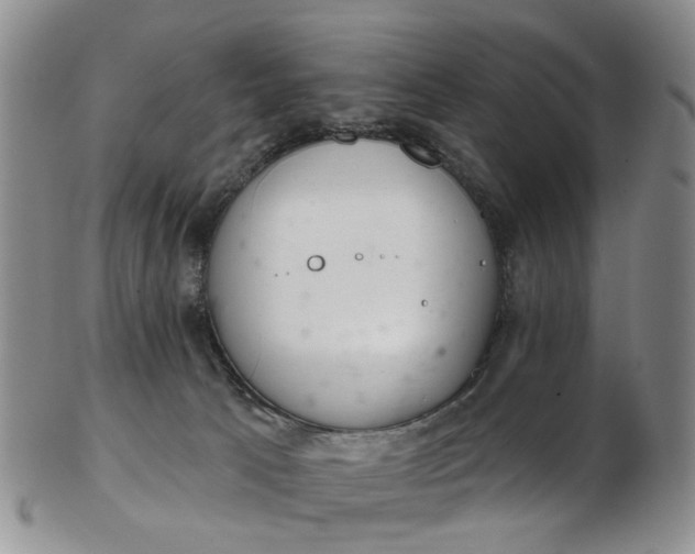 X0000103170033200809051732