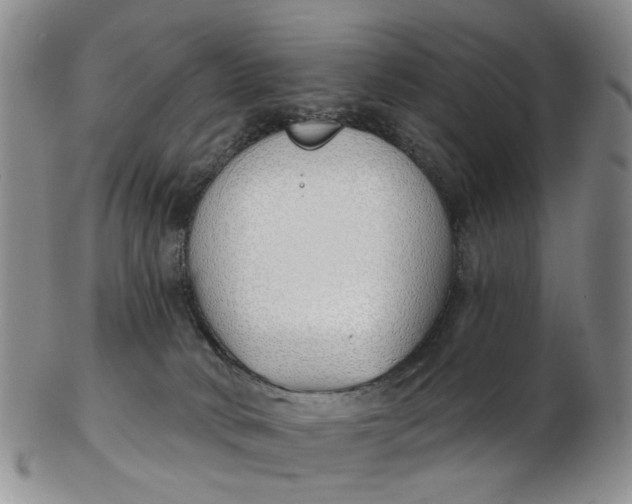 X0000103170034200809051732