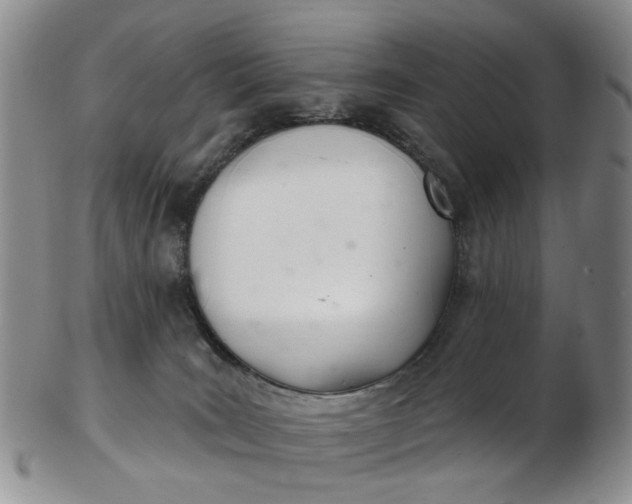 X0000103170035200809051732