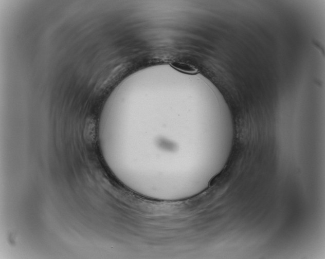 X0000103170036200809051732