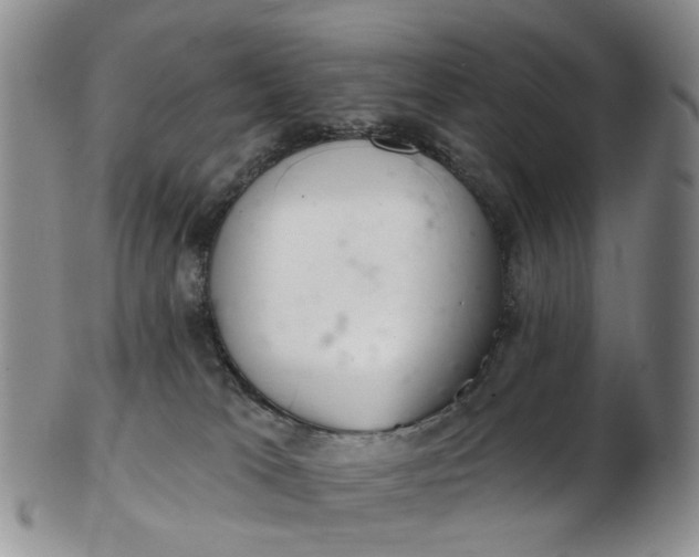 X0000103170037200809051732