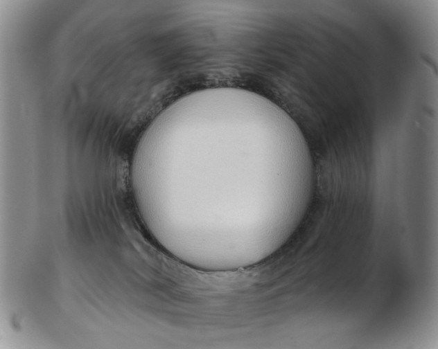 X0000103170038200809051732