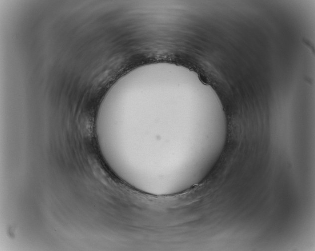 X0000103170039200809051732