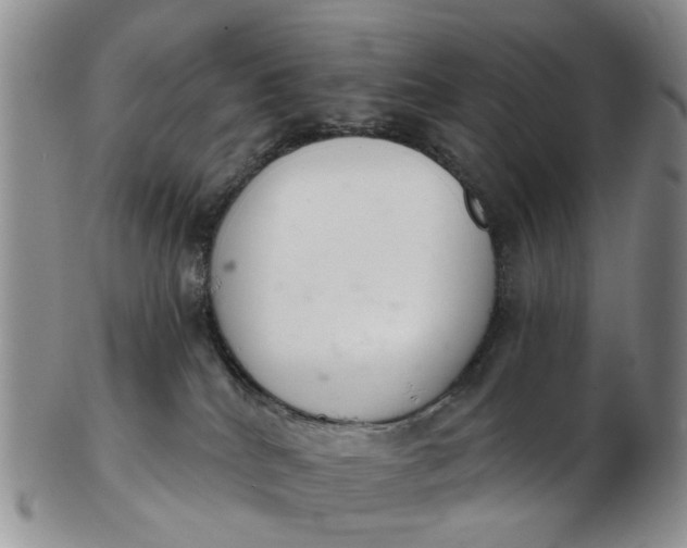 X0000103170040200809051732