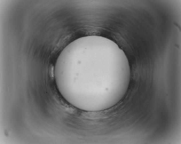 X0000103170041200809051732