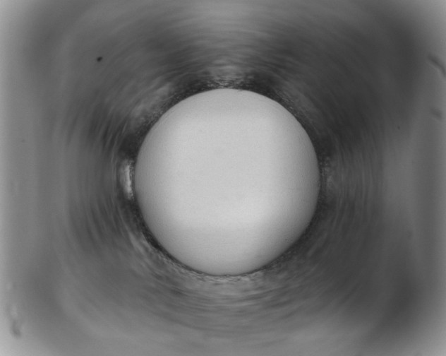 X0000103170042200809051731