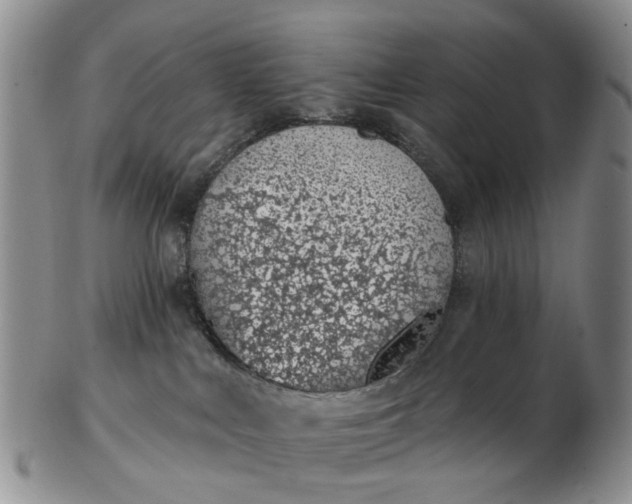 X0000103170043200809051731