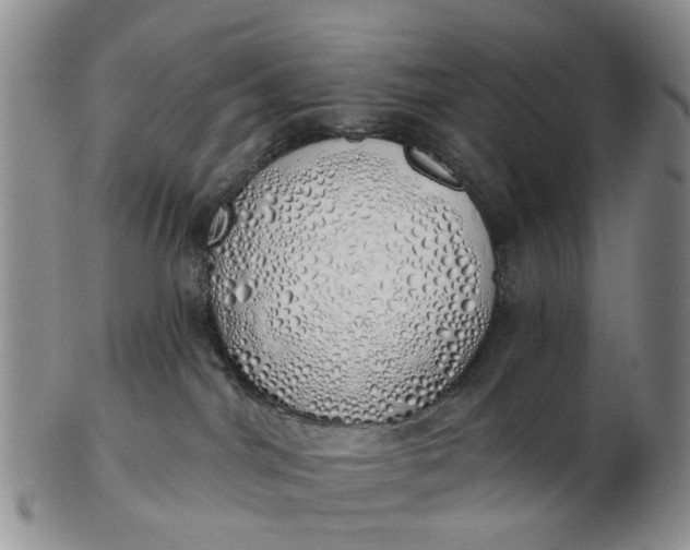 X0000103170044200809051731