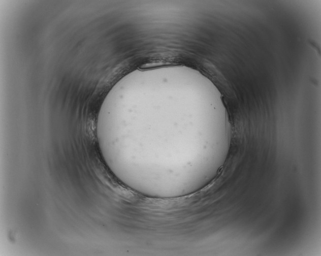 X0000103170045200809051731