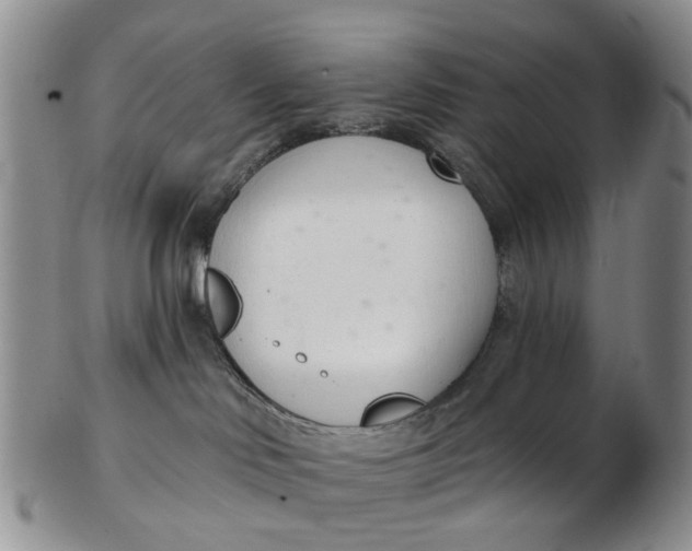 X0000103170046200809051731