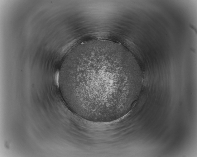 X0000103170047200809051731