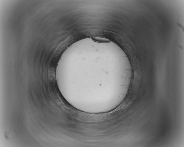 X0000103170048200809051731