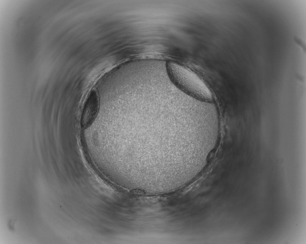 X0000103170049200809051731