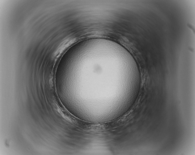 X0000103170050200809051731