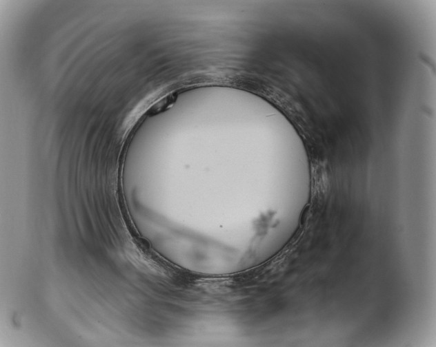 X0000103170051200809051731