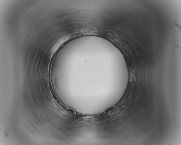 X0000103170052200809051731